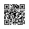 132710700 Пластина