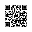 13278-45010 ORING