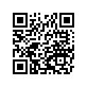 132800831 HOLDER