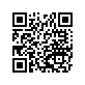 132800875 HOLDER