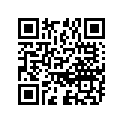 13295-29900 КОЛЬЦО УПЛОТНИТЕЛЬНОЕ