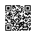 13331-19C10-000 Ring