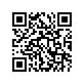 13331-21E30 Ring