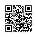 13331-21E40 .ring