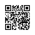 1333520 SUBSTITUTED BY 2206051