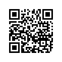 13341-19E60 .jet, Needle