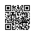 13341-RAA-A02 SSBY-11-13341-PNA-003-BEARINGA,MAIN