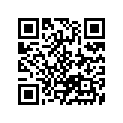 13374-29F00 УПЛОТНИТЕЛЬНОЕ КОЛЬЦО