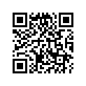 13381-121-761 Pin, Crank