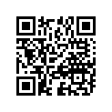 13382-03110 .washer
