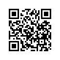 13383-03B00 Needle (24naaf) (opt)