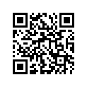 13383-03B40 Needle (24naak) (opt)
