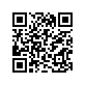 13383-03B60 Needle (24ncdg) (opt)