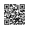13383-03B70 Needle (24ncdh) (opt)