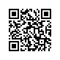 13383-03B80 NEEDLE(24NCDJ)