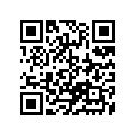 13383-03B90 Needle (24ncdk) (opt)
