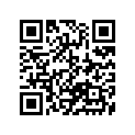 13383-19B00 NEEDLE,JET