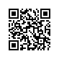 13383-19B50 NEEDLE,JET
