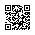 13383-19B60 NEEDLE,JET