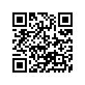 13383-24C40 .needle, Jet (5c39)