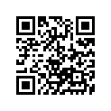 13383-27C10 Needle, Jet (6aej02-64)