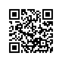 13383-28E50 Needle, Jet (r1471ns)