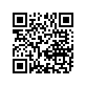 13383-29E40 .needle, Jet