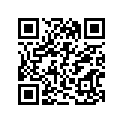 13383-29FB0 NEEDLE,JET
