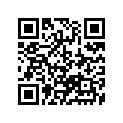 13383-33E00 .jet, Needle (6e38-54-3)
