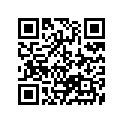13383-35E10-000 Жиклер игольчатый