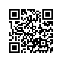 13383-36FP0 Needle, Jet (6chy17-63) (opt)