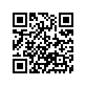 13383-37E10 Needle, Jet (r1466ns)