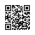 13383-37E40 Needle, Jet (n1ed)