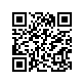 13383-37E60 Needle, Jet (nief)