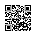 13383-37EA0 Needle, Jet (noze)