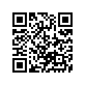 13383-37EN0 Needle, Jet (n3ww)