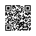 13383-37F20 NEEDLE, JET