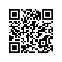 13383-37FE0 Needle, Jet (necj)