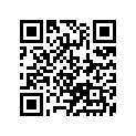 13383-37FK0 Needle, Jet (nedh)