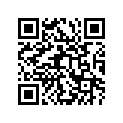 13383-43D00 .needle, Jet (6bej6-66-3)