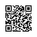 13383-43D20 Needle, Jet (6bej6-67)