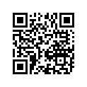 13383-44C20 Needle, Jet