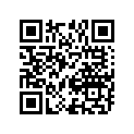 13383-45C20 .needle, Jet (5d47-1)