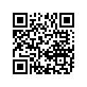 13383-46E40-000 Жиклер игольчатый