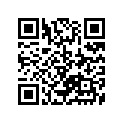 13383-49200 .needle, Jet (5058)