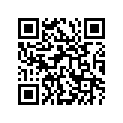 13385-33C00-000