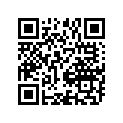 13387-20E20-000 RING