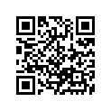 13387-29FA1 .ring