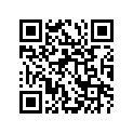 13389-08G00 HOLDER