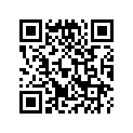 13410-413-020 Balancer